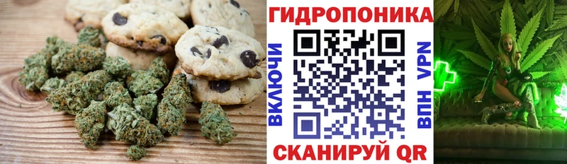 Canna-Cookies марихуана  Купить закладки  Сим 