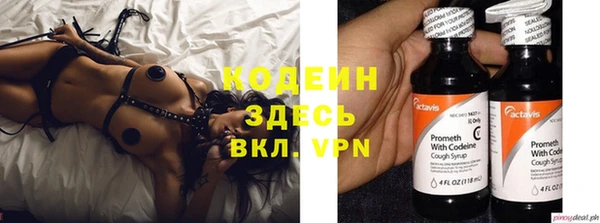 индика Верея
