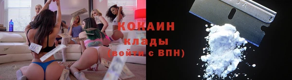 прущие грибы Бугульма