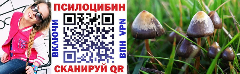 Купить закладки  Сим  Псилоцибиновые грибы ЛСД 